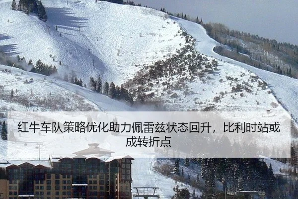 hong-niu-che-dui-ce-lve-you-hua-zhu-li-pei-lei-zi-zhuang-tai-hui-sheng-bi-li-shi-zhan-huo-cheng-zhuan-zhe-dian-2-525.jpg
