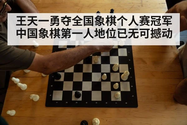 王天一勇夺全国象棋个人赛冠军 中国象棋第一人地位已无可撼动